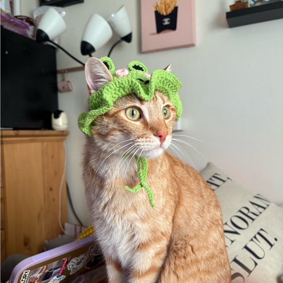 Meet your Posher, Kristina! - Picture 6 of 16